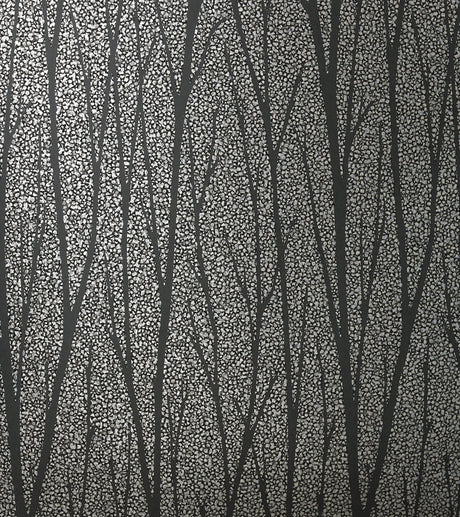 Birch Trail wallpaper in gunmetal and charcoal with metallic textured ground and slender birch tree silhouettes
