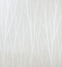 Birch Trail wallpaper in metallic champagne and cream with a subtle birch tree branch pattern