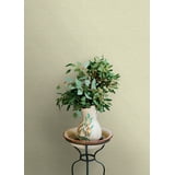 Agave Neutral by Chesapeake Faux Grasscloth Wallpaper – Brewster Home Fashions 4169-27611