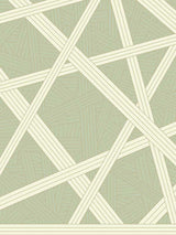 Nastri Green Wallpaper MI10563 by Missoni