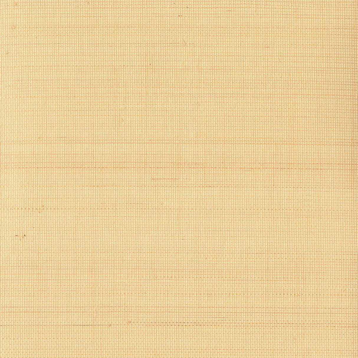 Danan Honey Grasscloth Wallpaper with Modern Textured Grasscloth - Kenneth James 2693-30229