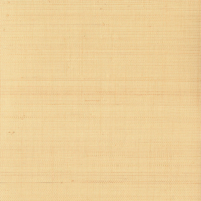 Danan Honey Grasscloth Wallpaper with Modern Textured Grasscloth - Kenneth James 2693-30229
