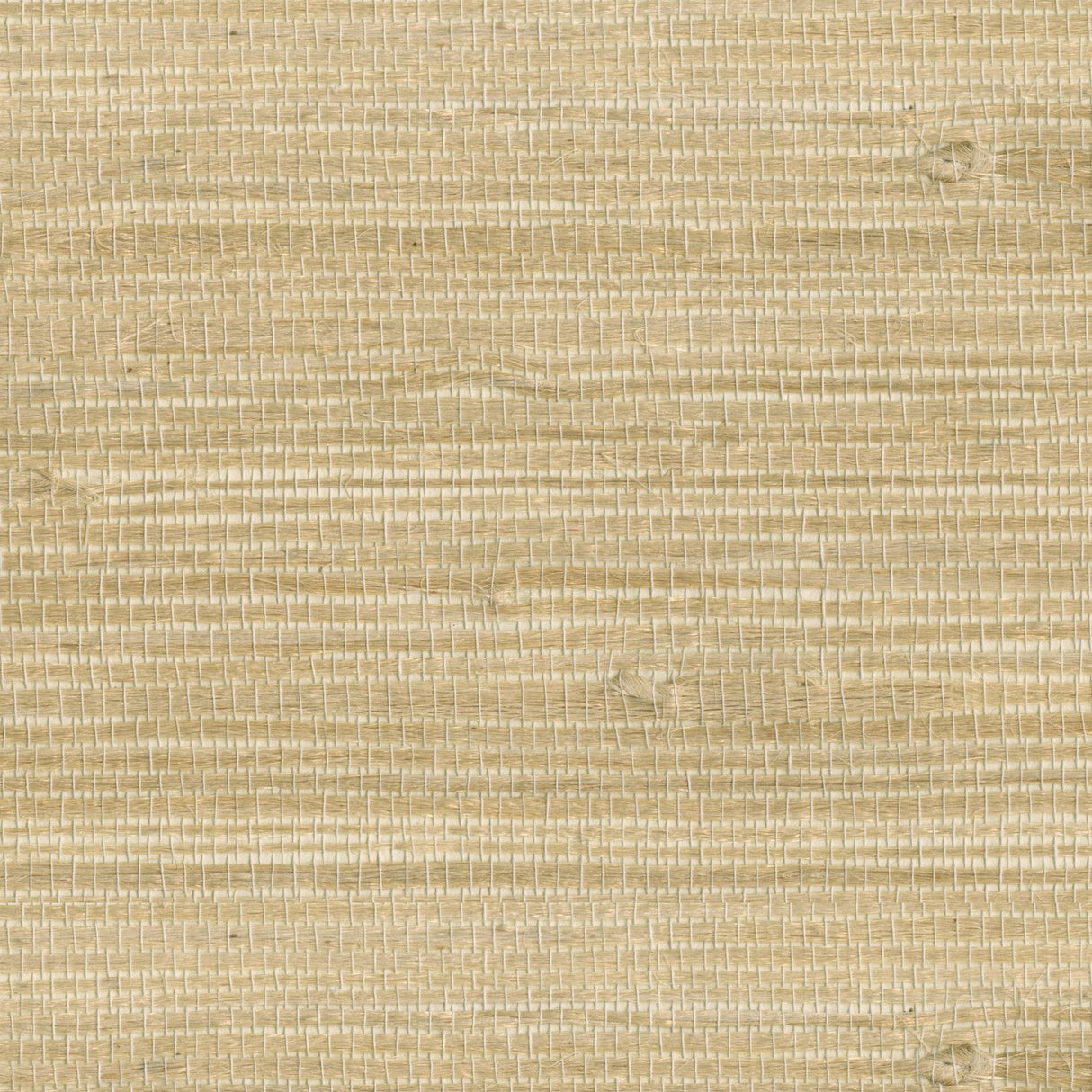 Myoki Wheat Grasscloth Wallpaper with Modern Textured Grasscloth Pattern - Kenneth James 2693-54725