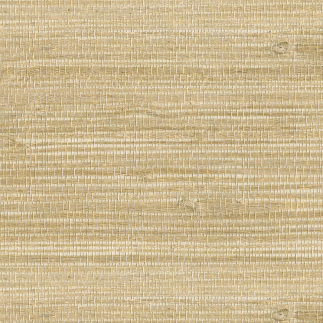 Myoki Wheat Grasscloth Wallpaper with Modern Textured Grasscloth Pattern - Kenneth James 2693-54725