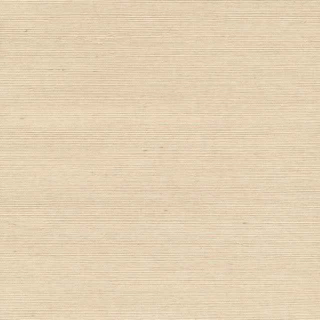 Shinko Champagne Grasscloth Wallpaper with Textured Grasscloth Pattern - Kenneth James 2693-65412