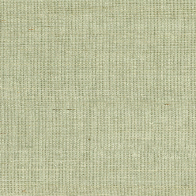 Popun Light Green Sisal Grasscloth Wallpaper with Thin Weave Texture - Kenneth James 2693-65416