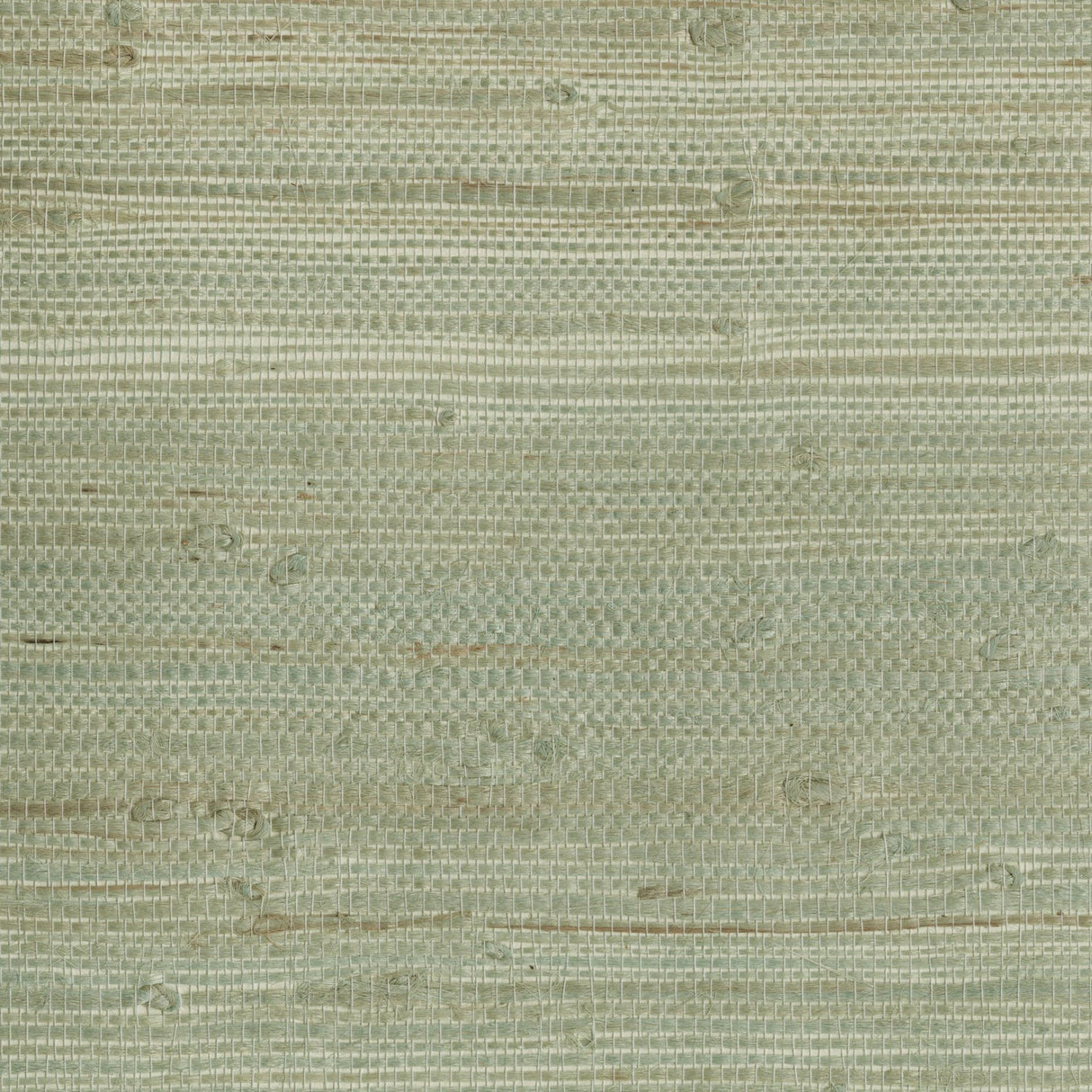 Myogen Golden Green Grasscloth Wallpaper with Textured Weave - Kenneth James 2693-65609