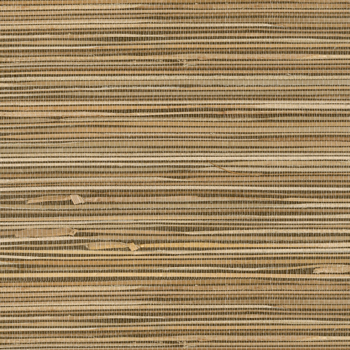 Seiju Wheat Grasscloth Wallpaper in Wheat Texture - Kenneth James 2693-89472