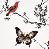Birds & Butterflies Multi on White by Schumacher Whimsical Birds and Butterflies Wallpaper – Schumacher 2704420