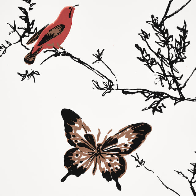 Birds & Butterflies Multi on White by Schumacher Whimsical Birds and Butterflies Wallpaper – Schumacher 2704420