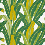 Tropical Isle green on white palm leaf wallpaper by Schumacher