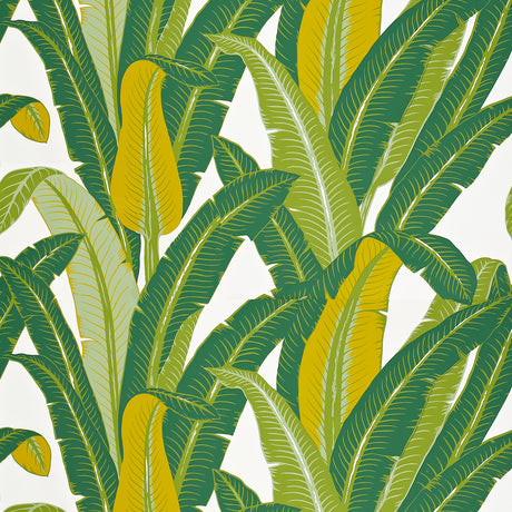 Tropical Isle green on white palm leaf wallpaper by Schumacher