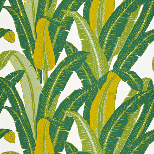 Tropical Isle green on white palm leaf wallpaper by Schumacher