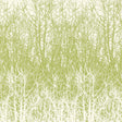 Birches wallpaper in Leaf/White by Schumacher, featuring a hand-screened forest tree pattern in green and white.