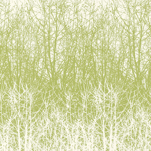 Birches wallpaper in Leaf/White by Schumacher, featuring a hand-screened forest tree pattern in green and white.
