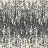 Birches wallpaper in black and white by Schumacher, featuring a hand-screened forest tree pattern.
