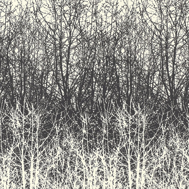 Birches wallpaper in black and white by Schumacher, featuring a hand-screened forest tree pattern.