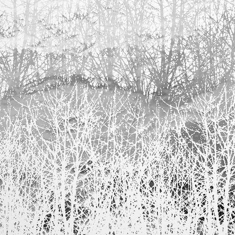 Birches silver hand-screened wallpaper by Schumacher, featuring an enchanting birch tree pattern in a modern nature style.