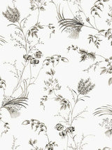 Floral Lace Black Wallpaper by Ronald Redding, pattern MX9682