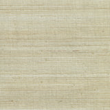 Pearl River Silver Grasscloth Wallpaper with Organic Texture in Metallic Silver - Kenneth James 2732-54745