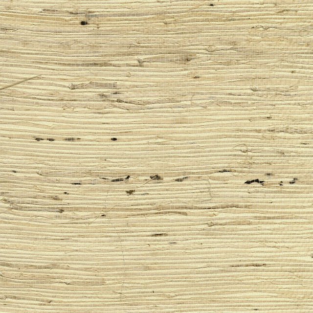 Tomur Beige Grasscloth Wallpaper with Organic Textures in Traditional Style - Kenneth James 2732-65612