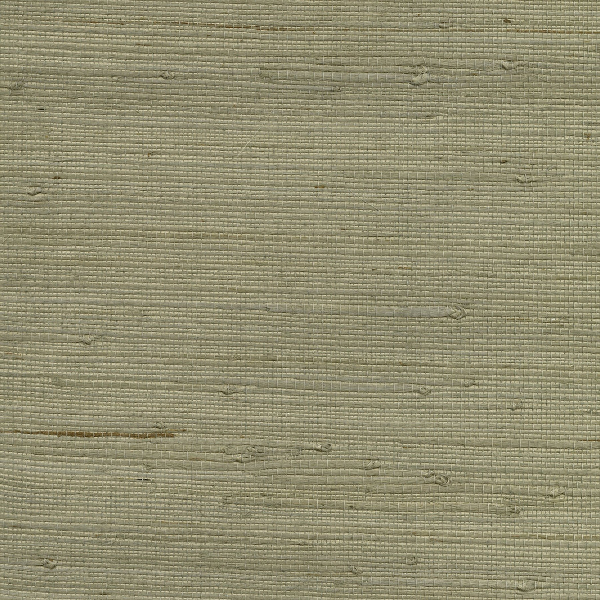 Qiantang Grey Grasscloth Wallpaper with Organic Textures Pattern - Kenneth James 2732-65655