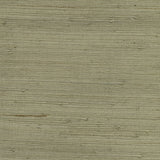 Qiantang Grey Grasscloth Wallpaper with Organic Textures Pattern - Kenneth James 2732-65655