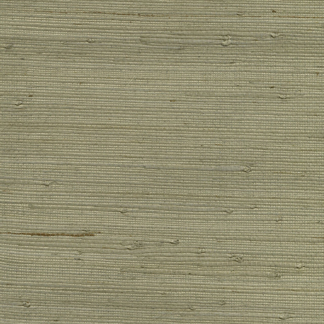 Qiantang Grey Grasscloth Wallpaper with Organic Textures Pattern - Kenneth James 2732-65655