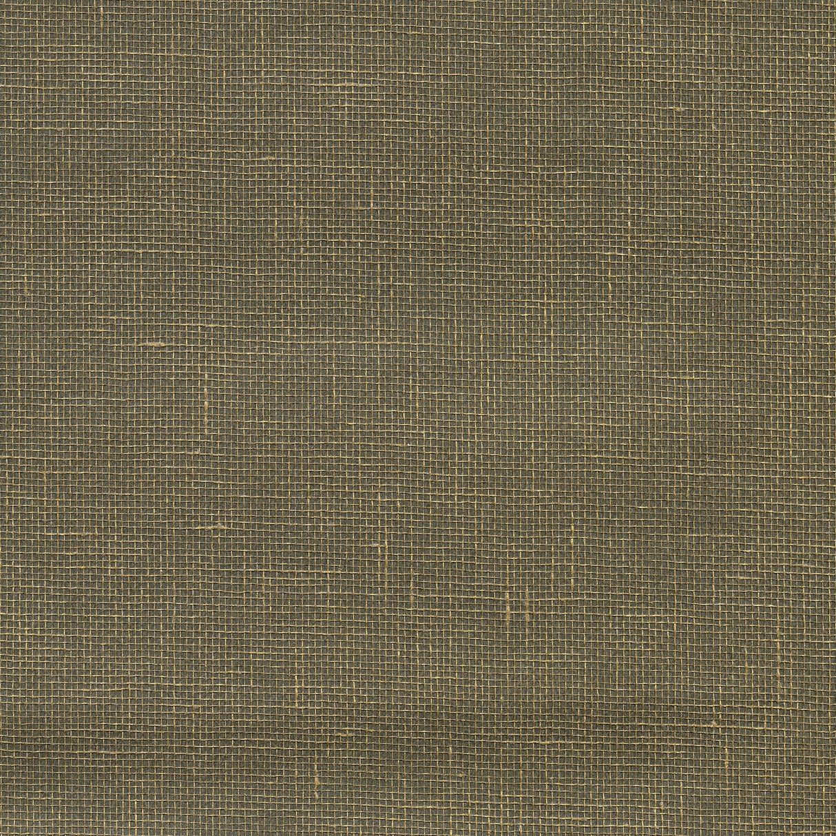 Leyte Pewter Grasscloth Wallpaper with Organic Textures Traditional Style - Kenneth James 2732-80000