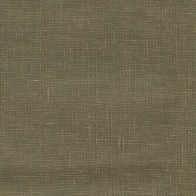 Leyte Pewter Grasscloth Wallpaper with Organic Textures Traditional Style - Kenneth James 2732-80000