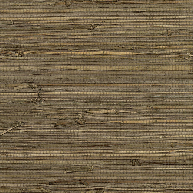 Anhui Brown Grasscloth Wallpaper with Organic Textures Traditional Style - Kenneth James 2732-80084