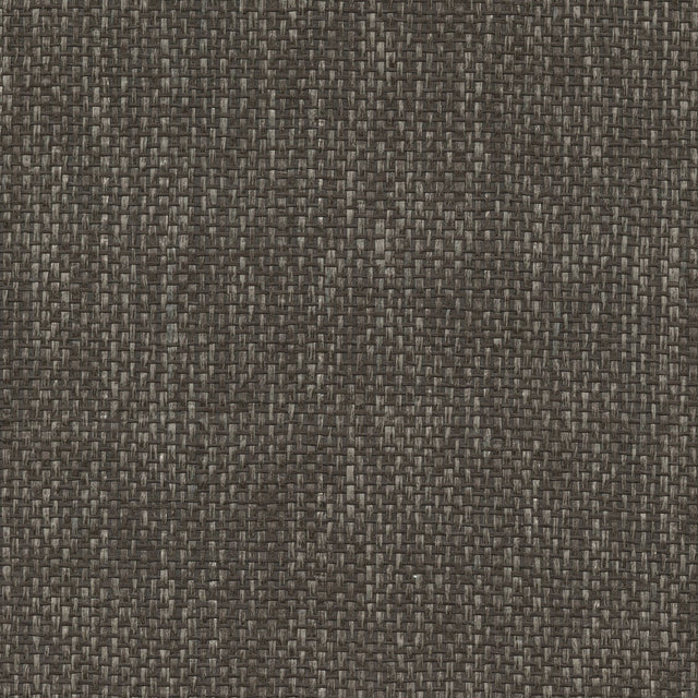 Wujiang Espresso Paper Weave Grasscloth Wallpaper with Organic Texture - Kenneth James 2732-80089