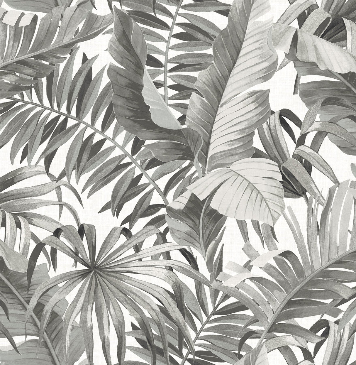 Alfresco Black Palm Leaf Wallpaper with Coastal Botanical Motif - A-Street Prints 2744-24134