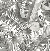 Alfresco Black Palm Leaf Wallpaper with Coastal Botanical Motif - A-Street Prints 2744-24134