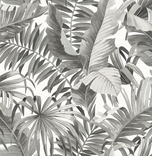Alfresco Black Palm Leaf Wallpaper with Coastal Botanical Motif - A-Street Prints 2744-24134