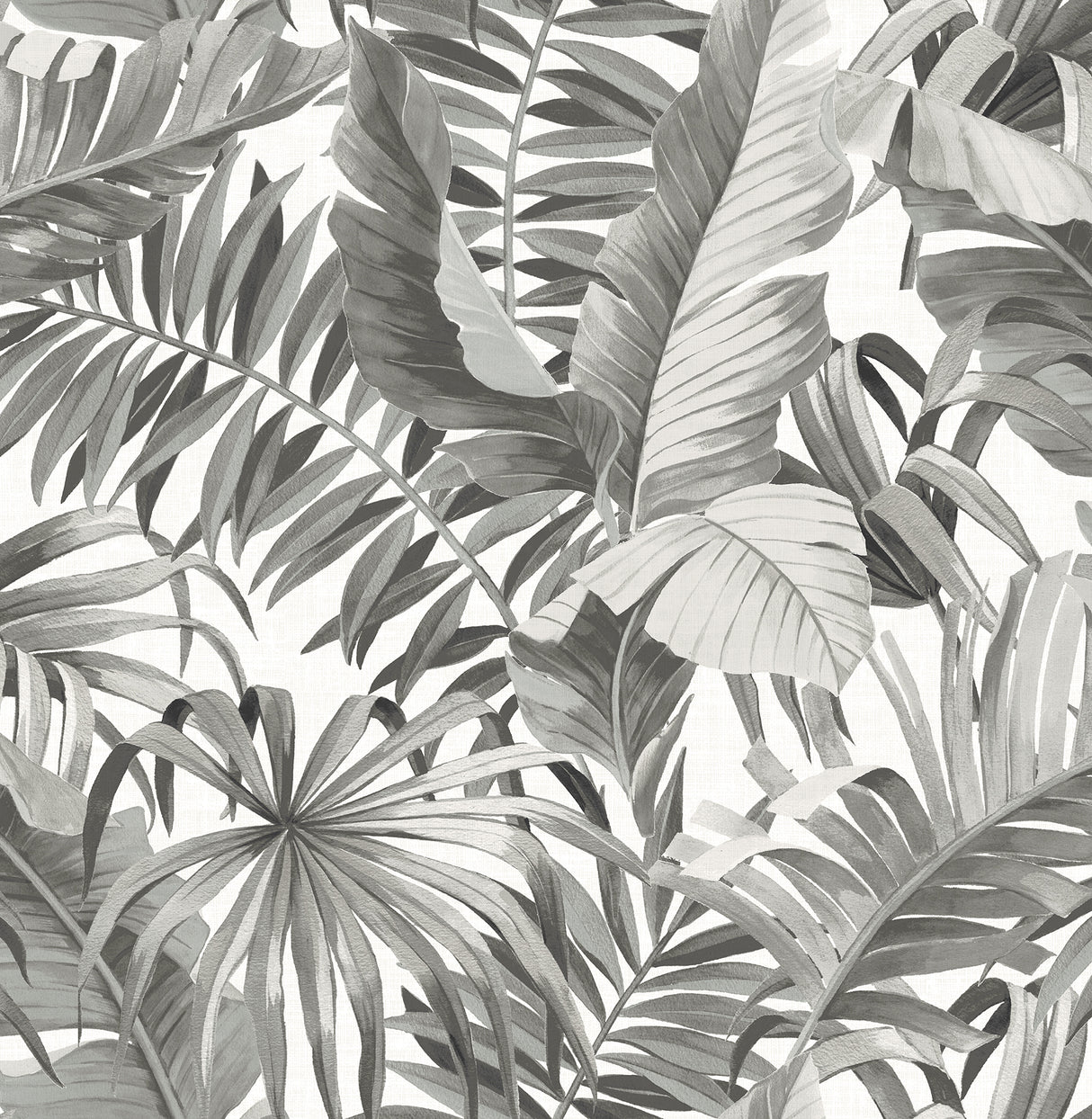 Alfresco Black and White Tropical Palm Leaf Wallpaper by A-Street Prints - FD24134