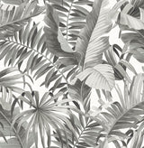 Alfresco Black and White Tropical Palm Leaf Wallpaper by A-Street Prints - FD24134