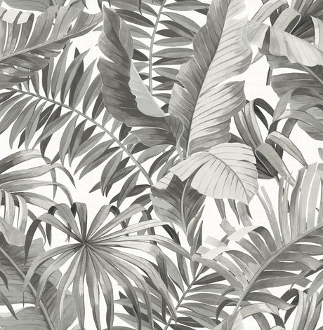 Alfresco Black and White Tropical Palm Leaf Wallpaper by A-Street Prints - FD24134