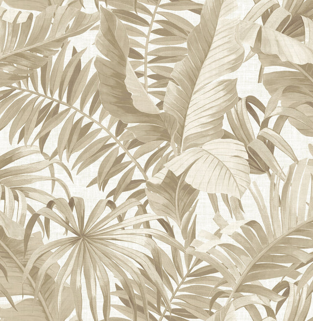 Alfresco Taupe Palm Leaf Wallpaper with Coastal Botanical Motif - A-Street Prints 2744-24135