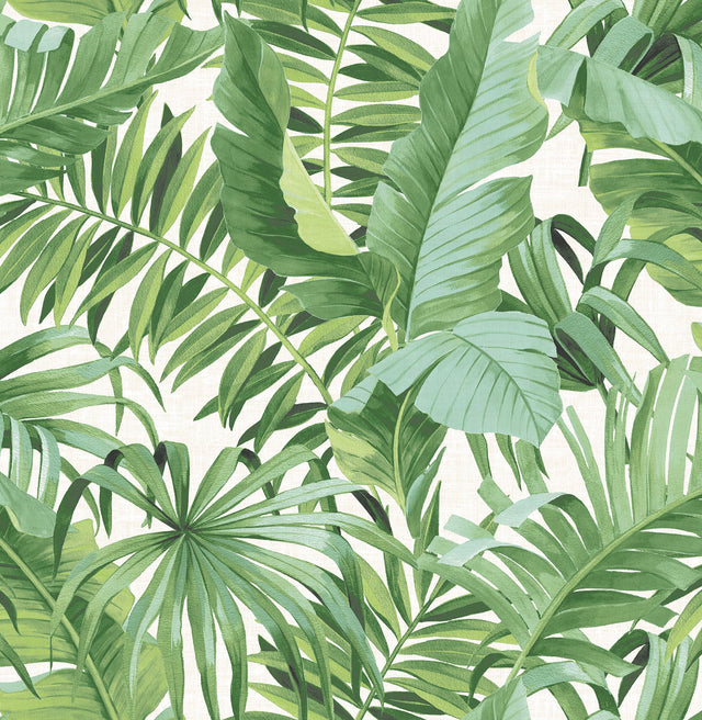 Alfresco Green Palm Leaf Wallpaper with Botanical Tropical Pattern, Paste-the-Wall Non Woven - A-Street Prints 2744-24136