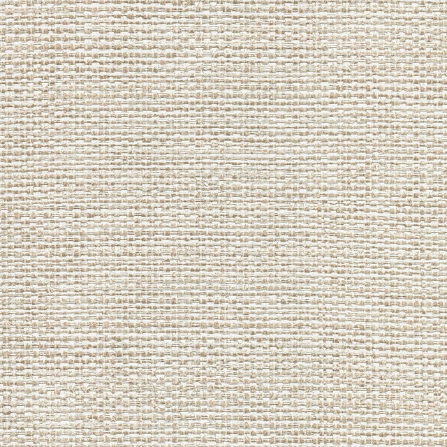 Caviar Platinum Basketweave Wallpaper SAMPLE