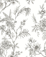 Jessamine Grey Floral Trail Wallpaper with Modern Bird and Blossom Motif - A-Street Prints 2763-24237
