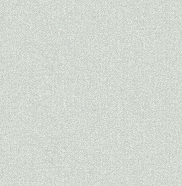 Twinkle Mint Texture Wallpaper