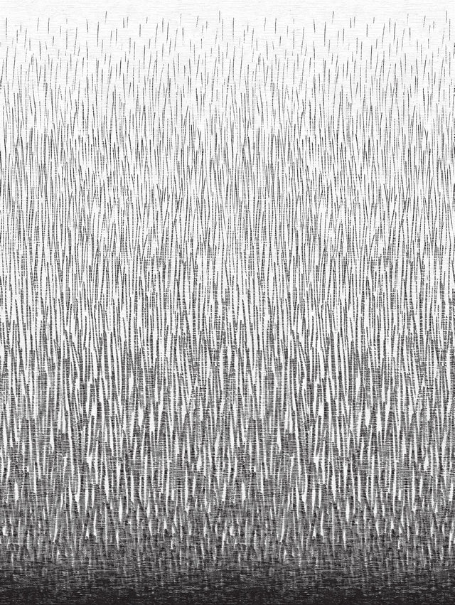 Amaya Black Abstract Graphics Non Woven Wall Mural - A-Street Prints 2764-24363