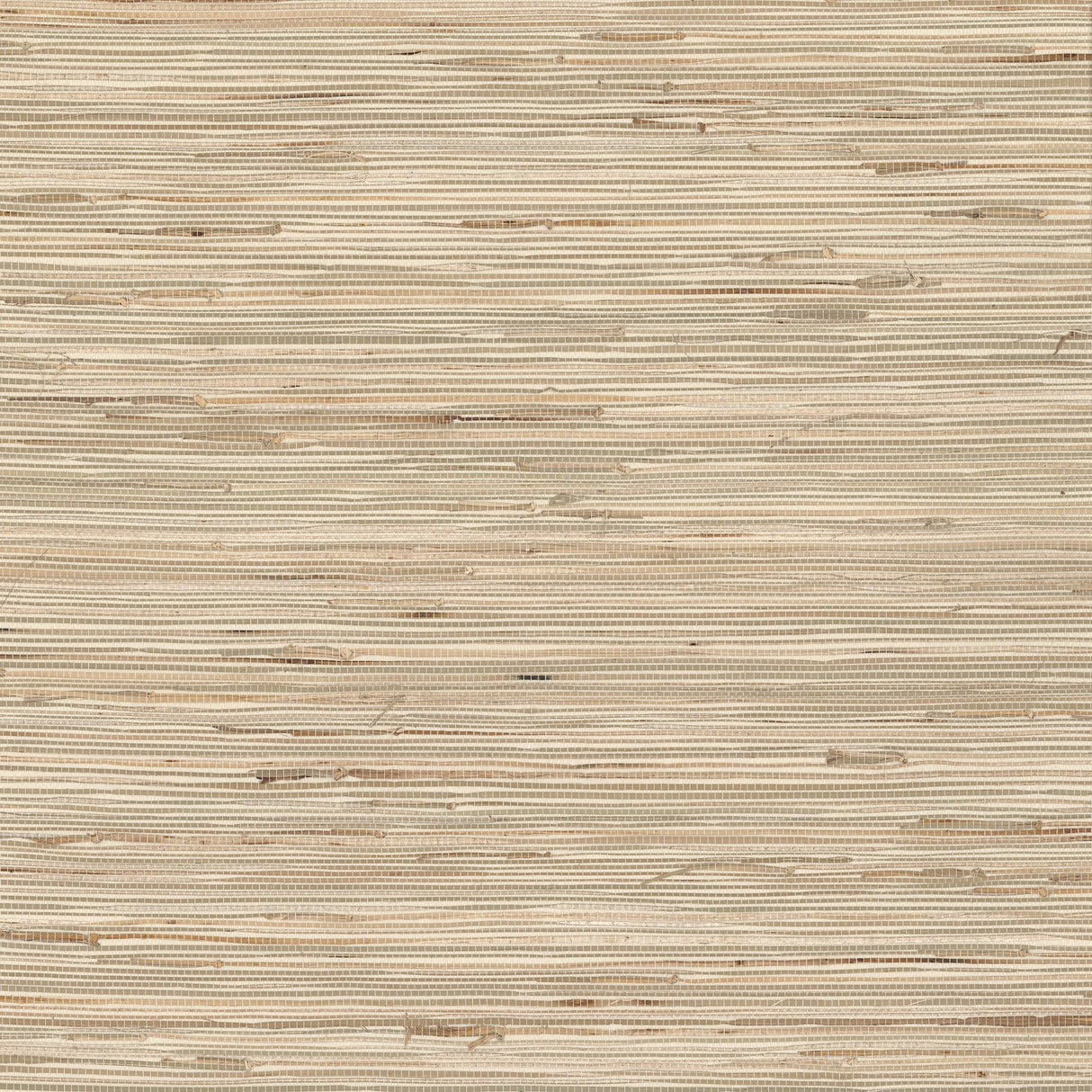 Bataan Wheat Grasscloth Wallpaper in Wheat Texture Pattern - A-Street Prints 2829-65621