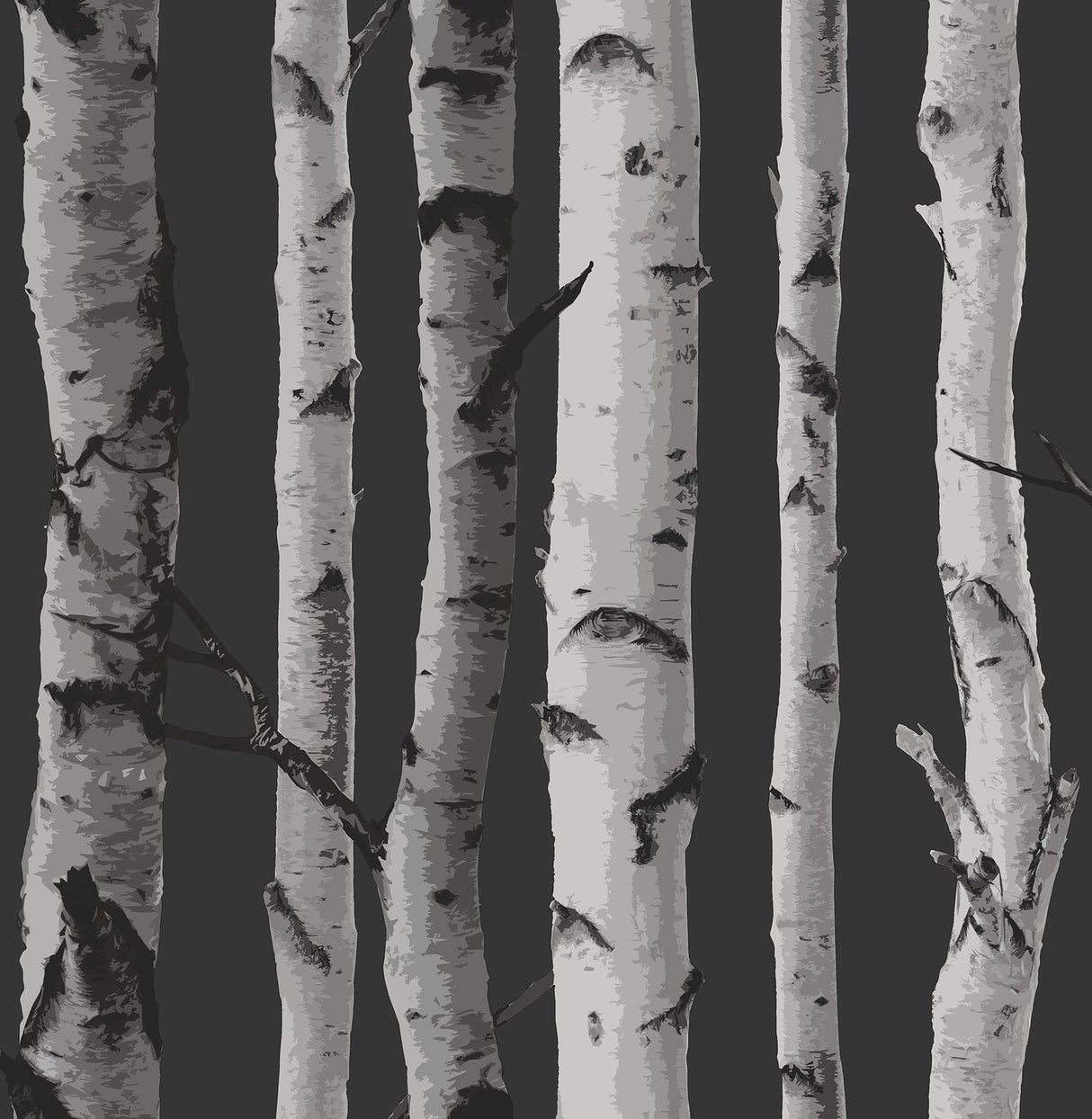 Distinctive Black Birch Tree Wallpaper with Feature Wall Trees Motif - Fine Decor 2900-31052