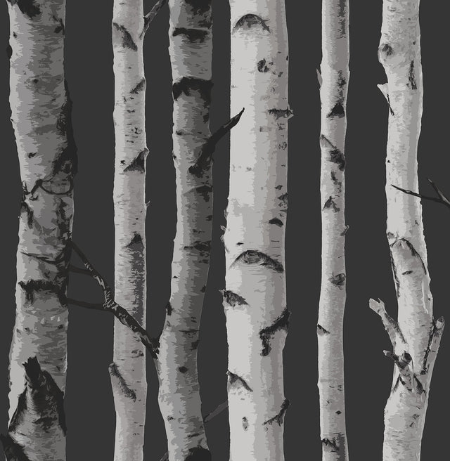 Distinctive Black Birch Tree Wallpaper with Feature Wall Trees Motif - Fine Decor 2900-31052