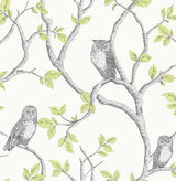 Linden Green Owl Wallpaper with Trails Pattern, Kids Style - Fine Decor 2900-40637