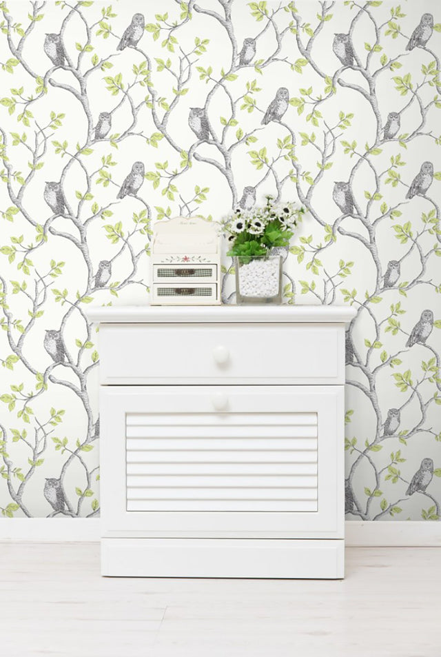 Linden Green Owl Wallpaper with Trails Pattern, Kids Style - Fine Decor 2900-40637