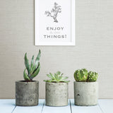 Agave Light Grey Faux Grasscloth Wallpaper with Coastal Graphics Pattern - 2902-24278